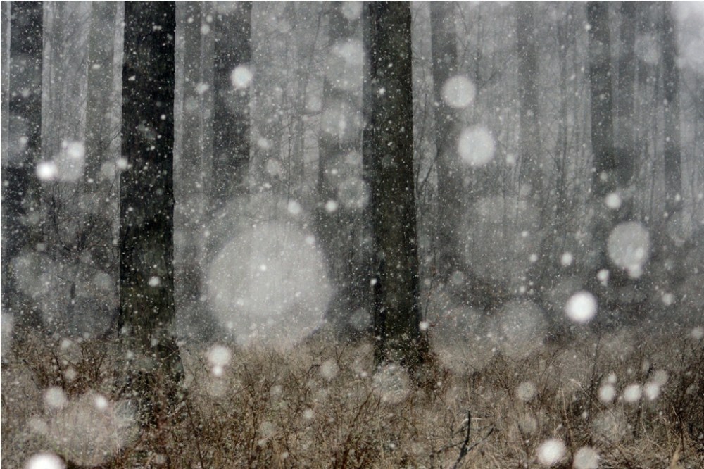 I nagroda w kategorii eksperyment za zdjęcie - "Śnieży"