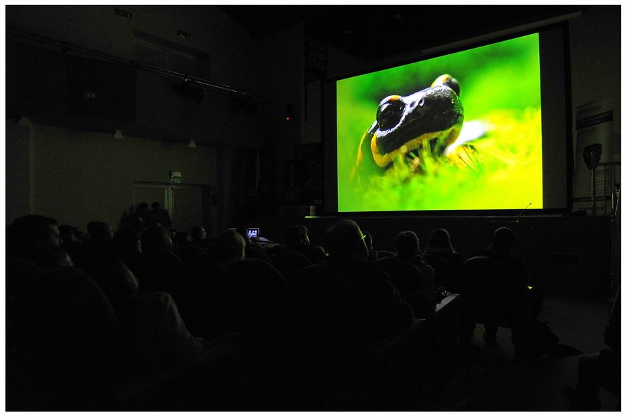 580622_700957186603725_1850094035_n