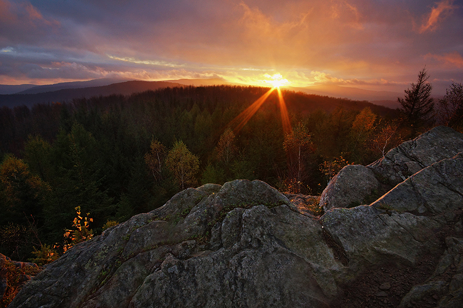 DSC00280d - modyfiakcja 2