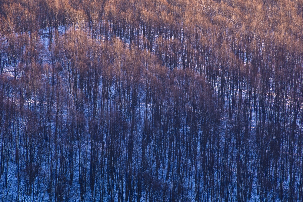 DSC00065hh (Kopiowanie)