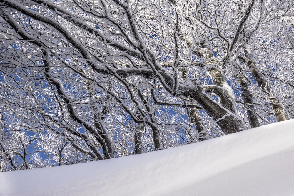 DSC00107jd (10) (Kopiowanie)