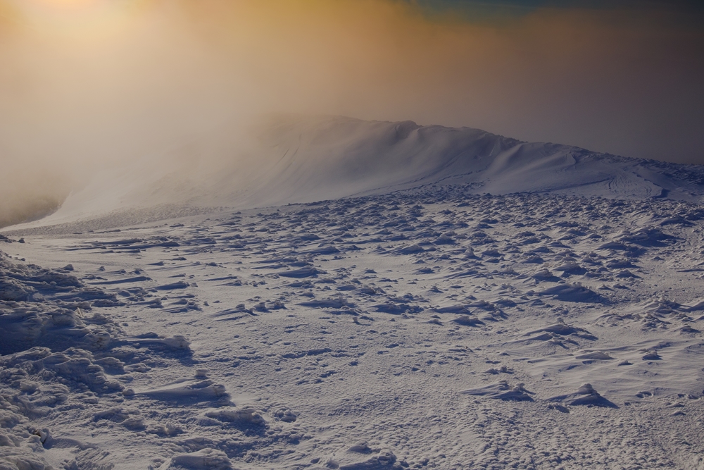 DSC00107jd (119)dd (Kopiowanie)