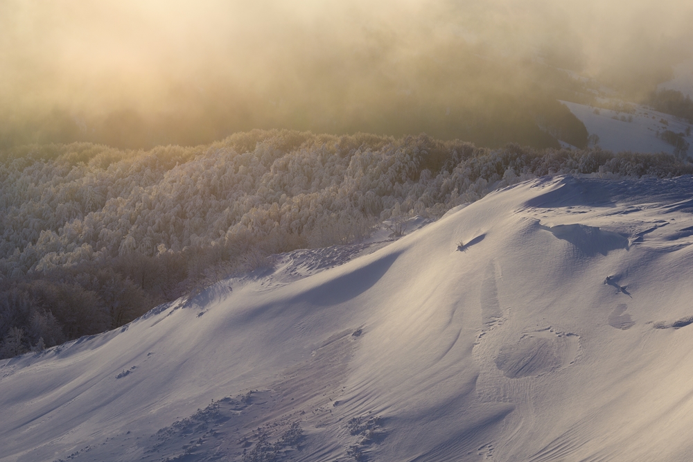 DSC00107jd (20) (Kopiowanie)