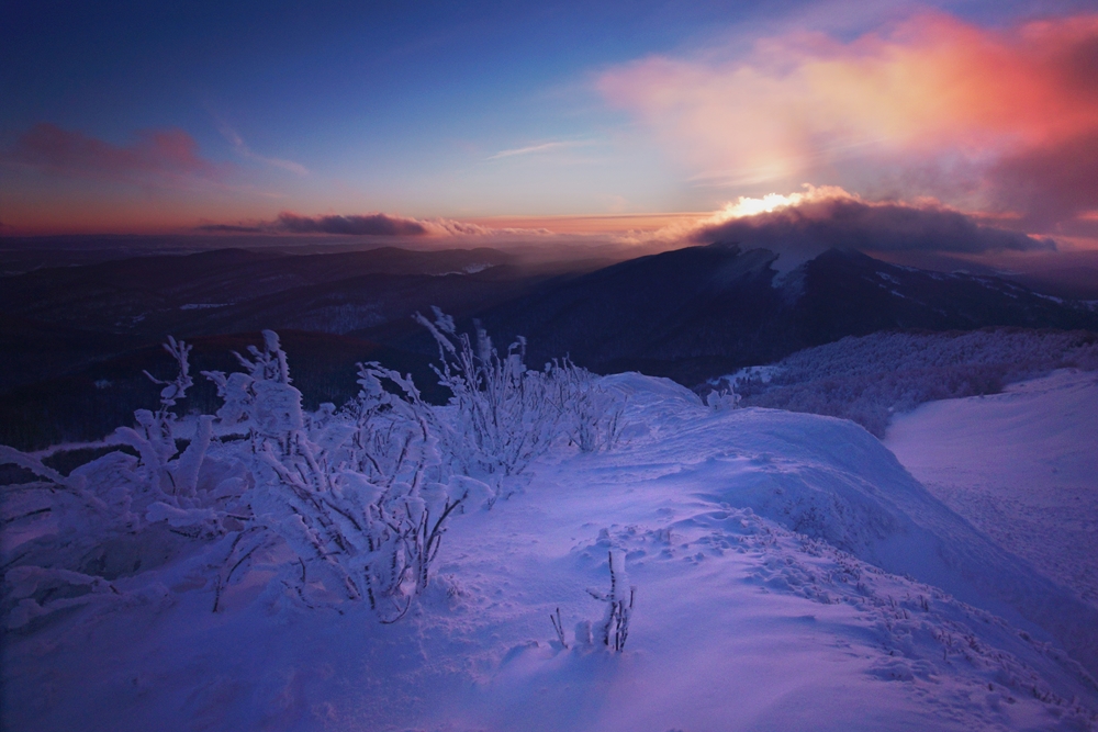 DSC00107jd (4) (Kopiowanie)