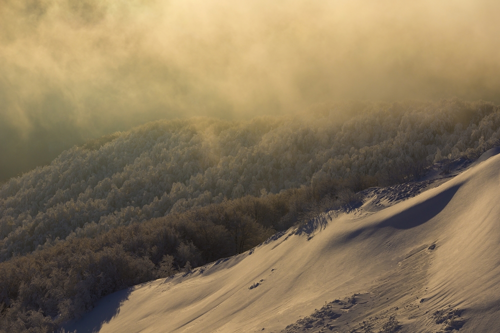 DSC00107jd (5) (Kopiowanie)