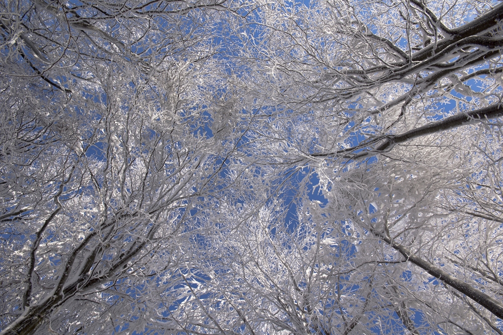 DSC00107jd (9) (Kopiowanie)