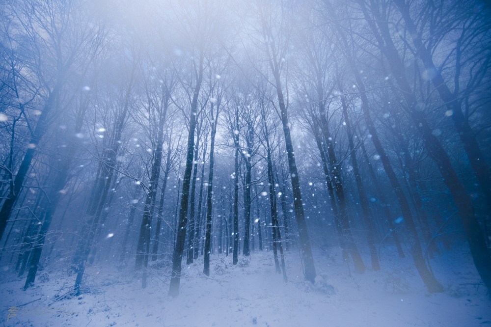 phoca_thumb_l_fr2015-36-im-w-orp_dubiel_bartosz