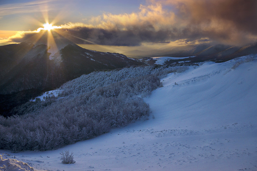 DSC00101d 2_filtered