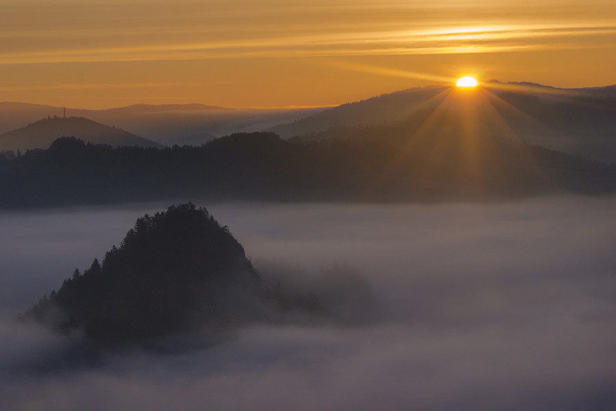 DSC00223ddddd_filtered