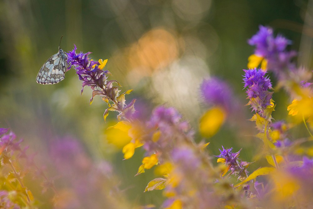 OP_ORP_DUBIEL_BARTOSZ_03