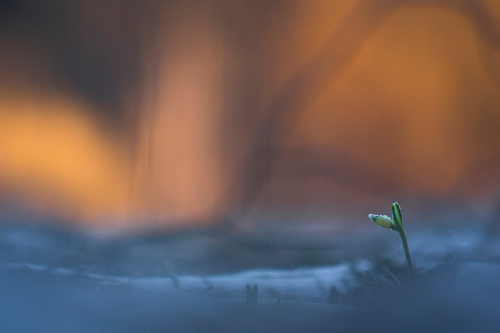 RO_ORP_DUBIEL_BARTOSZ_03