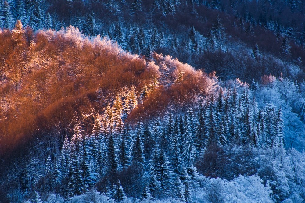 KF_ORP_DUBIEL_BARTOSZ_04