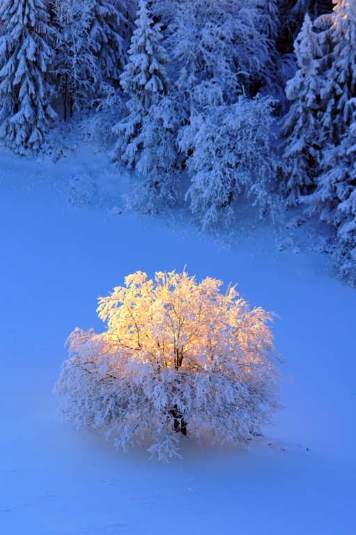 KF_ORP_DUBIEL_BARTOSZ_06