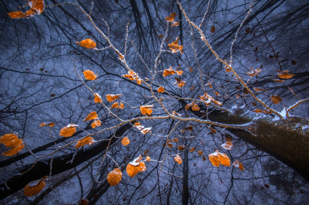 RO_ORP_DUBIEL_BARTOSZ_03