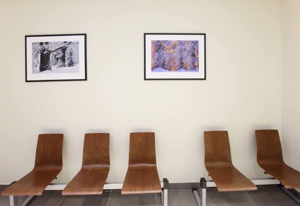 23314325_526594841006178_1057694810_o