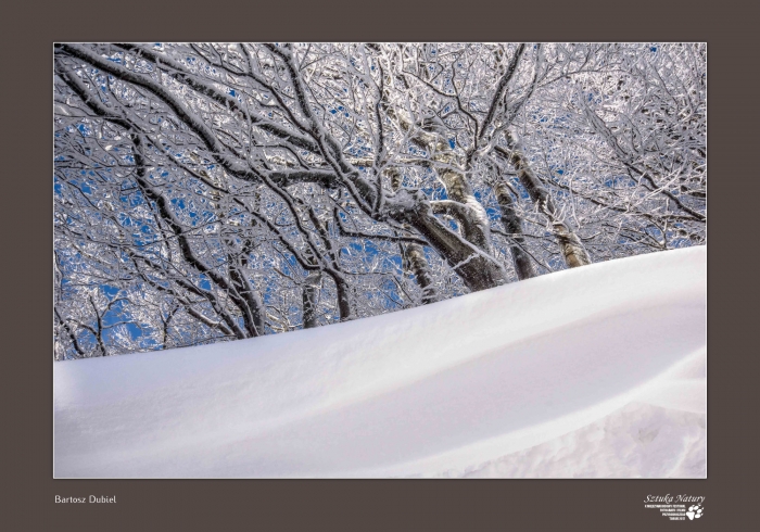 Wystawa-nagrodzone-2017-28